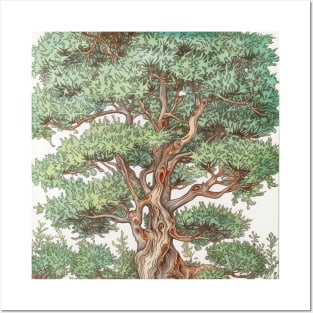 Juniper tree Posters and Art